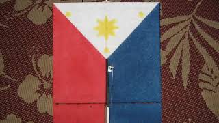 Philippine Flag Pizza Box RC Plane, Lupang Hiniran