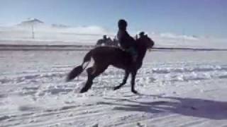 mongol huuhed