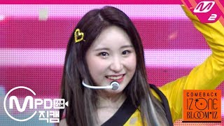[MPD직캠] 아이즈원 이채연 직캠 4K ‘SO CURIOUS’ (IZ*ONE  Lee Chaeyeon FanCam) | @COMEBACK IZ*ONE BLOOM*IZ