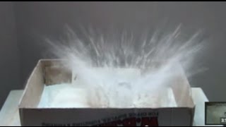 Impact Crater Demo