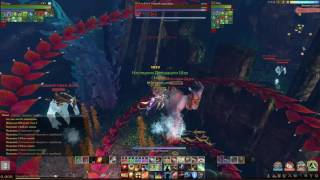 Archeage 2.9 Фарм обрывков старинного ритуала.