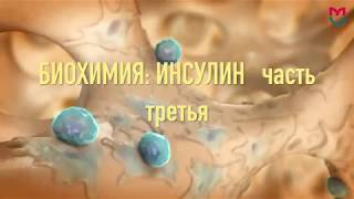 Биохимия Инсулин 3 часть