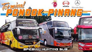 Hunting Bus-Bus di Terminal Pondok Pinang