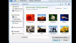 Бесплатный менеджер паролей: Keepass