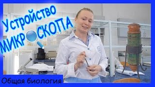 Урок биологии №50. Строение микроскопа.