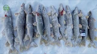 Рыбалка в Северном Казахстане  Обзор №55 за Январь Февраль