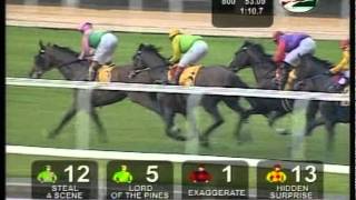 Singapore Gold Cup Horse Race