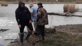 зарыбление.река сосыка. хутор шевченко. павловский район.
