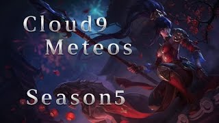 C9 Meteos Nidalee Jungle vs Shyvana Season 5 Patch 5.8