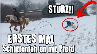 Erstes Mal Schlittenfahren mit Pferd  + STURZ