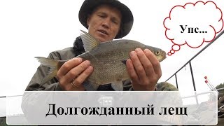 Лещ на фидер. Ловля леща. Рыбалка на леща. Рыбалка в Ленинградской области. Фидер. Рыбалка.