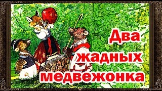 Сказки на ночь. ДВА ЖАДНЫХ МЕДВЕЖОНКА. Аудиосказки для детей с живыми картинками