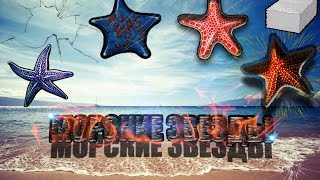 Русская рыбалка 3.99 Морские звезды #2
