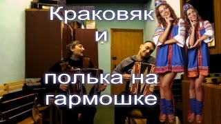 Краковяк и полька на гармошке