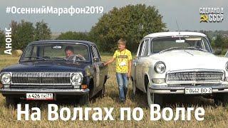 Анонс. ОСЕННИЙ марафон ВОЛГА-ВОЛГА 2019