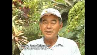 Inmigración japonesa en paraguay