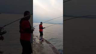 더블힛