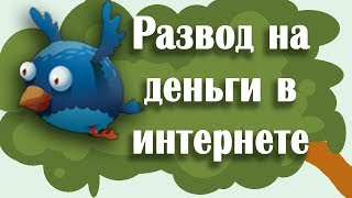 Развод на деньги в интернете rich birds развод