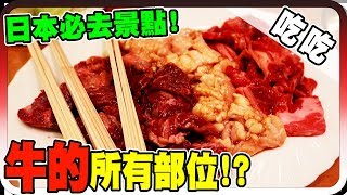 黑羽推薦日本必去景點？！｜大阪行 DAY 2【黑羽 羽根 黑仔熊 Neko嗚喵 DA】