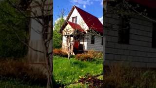 Зимняя дача. СНТ Сияние. Красницы.