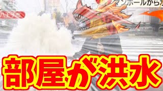 【パズドラ】ふえぇ・・・びちょびちょになっちゃったよぉ・・・【参加型3人マルチ】
