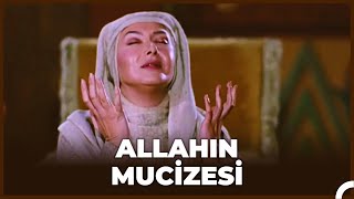 Züleyha'nın Güzelleşme Mucizesi - Hz Yusuf 39. Bölüm
