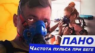 Пано, что это такое? Зачем бегунам знать свой пульс. МПК