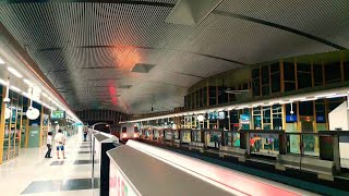 [4K] SMRT North South Line Trainspotting At NS12 Canberra [Night]