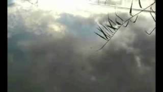 10年8月8日タナゴ釣り①外道編