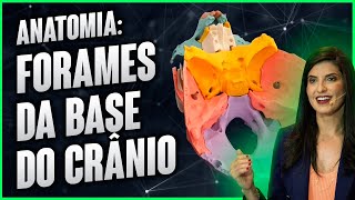 ANATOMIA: Forames da base do crânio por Dra Walkyria Fernandes