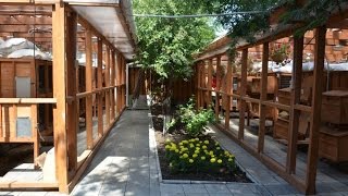 ЛПХ Катюша. Содержание и разведение породных кроликов