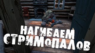 DayZ Standalone | Russian Mafia | Нагибаем стримопалов