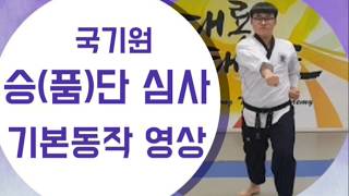 국기원 승(품)단 심사 기본연결동작