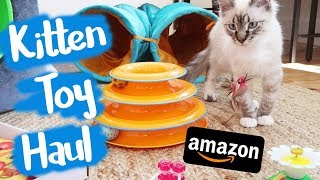 I Bought Weird Cat Toys From Amazon