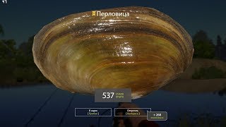 ?Русская рыбалка 4?-река Вьюнок Рак и Перловица