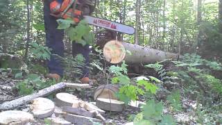 Бензопила Husqvarna 372XP