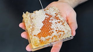 5 Foods/Drinks You Don't Eat Everyday Taste Test