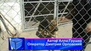 Кинологическая служба (Стаханов)