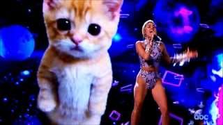 Miley Cyrus - Wrecking Ball AMA Performance 2013 (Full Live Performance) - Cat Theme