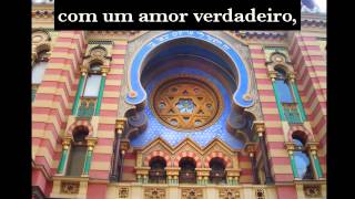 O Grande Jardin Human