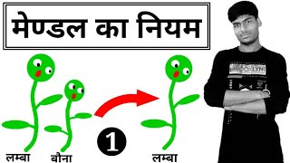 मेंडल का नियम