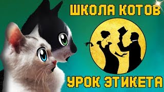 ШКОЛА КОТОВ УРОК ХОРОШИХ МАНЕР для Кошечки МУРКИ! Кот Малыш  и КОШАЧЬЯ СЕМЬЯ  НА СОБРАНИИ !