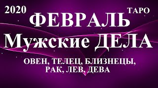 Прогноз для МУЖЧИН. Февраль 2020.  Со знака Овен  -  по  Дева.