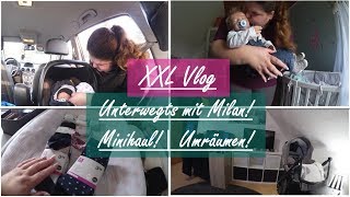 Shoppen mit MIlan! || Katzen außer Kontrolle! || Reborn Baby Deutsch || Little Reborn Nursery