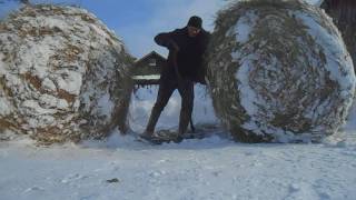 Сено//Перекатываем тюки//Жизнь в деревне
