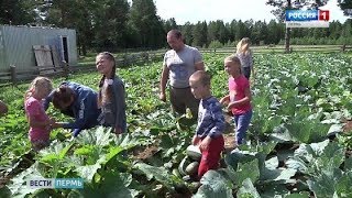 Лучшая многодетная семья живет в Кудымкаре