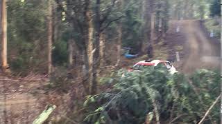 Bates / McCarthy - Subaru Rally Tasmania 2019: SS9