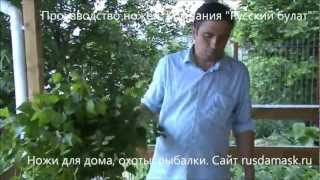 Как вязать веники для бани. Видеоурок