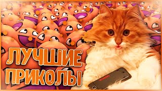 Лучшие приколы 92 Лучшие приколы  Смешно до слез  Попробуй не засмеяться  Видео приколы  Coub  2019