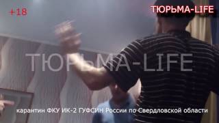 Что твориться в концлагерях России! Это видео Сирота показал Подолу.